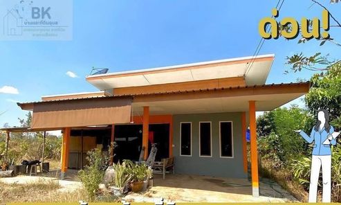 ขายบ้านพร้อมที่ดิน 4 ไร่ โซนเมืองเดช