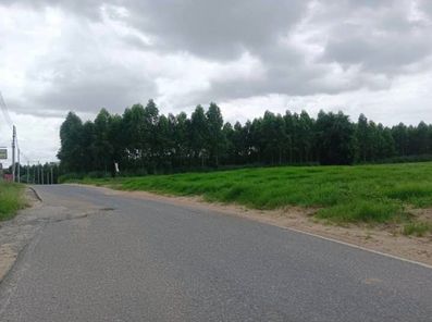 ขายที่ดินระยอง ปลวกแดง 65-3-52 ไร่ ผังสีม่วงลาย ใกล้นิคมอุตสาหกรรมอีสเทิร์นซีบอร์ด (ระยอง) ปลวกแดง ปลวกแดง bdzQ16ij