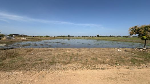 ขายที่ดิน วัดพริก เมืองพิษณุโลก JbA54Hs4