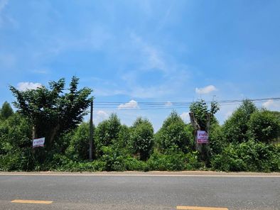 ขายที่ดิน นาวังหิน พนัสนิคม GuSfo2p7