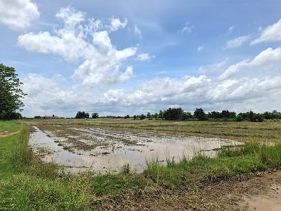 ขายที่ดิน แม่ระกา วังทอง 2KaRtbVq