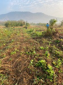 ขายที่ดิน หนองบัว บ้านค่าย i2r5z3Il