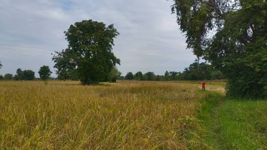 ขายที่ดิน บ้านเป็ด - โคกฟันโปง HkoO0AMO