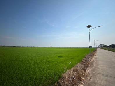 ขายที่ดิน วัดพริก เมืองพิษณุโลก N9s3pAmv