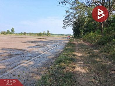 ขายที่ดิน วันที่ 13 ไร่ 2 งาน 10.0 ตารางวา ถนนบึงพระ-วังน้ำใส ตำบลแม่ระกา วังทอง พิษณุโลก แม่ระกา วังทอง abZ6Rx2J