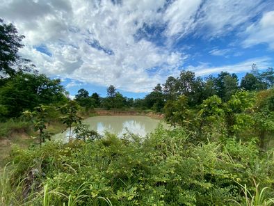 ขายที่ดิน เมืองพล จังหวัดขอนแก่น เมืองพล พล dN2qvn5X