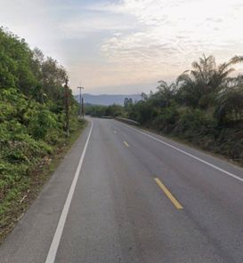 ขายที่ดินหนองใหญ่ ชลบุรี 277ไร่ สีม่วงลาย ใกล้นิคมเอเชียคลีน เหมาะสำหรับทำ โรงงาน โกดัง คลังสินค้า ฟาร์ม ห้างสูง หนองใหญ่ tn6aDBkz