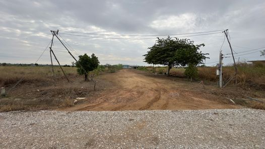 ขายที่ดิน วัดพริก เมืองพิษณุโลก alWLUbwQ