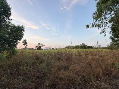 ขายที่ดิน เทศบาลตำบลอิสาณ 2T82eRXF