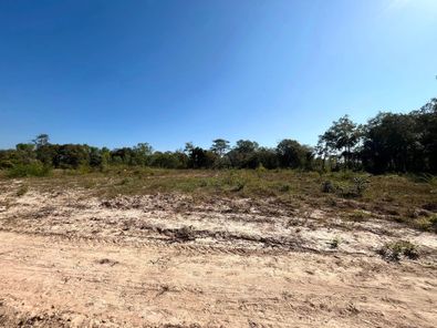 ใกล้สี่แยก กุดลาด เหมาะสำหรับ ทำสวน 🏡 บ้านสวนหลังเกษียณ 🌳 เกษตรพอเพียง / เกษตรผสมผสาน โนนหงษ์ทอง - อุบลฯ ตระการ FZPanQ1B