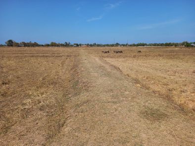 ขายที่ดิน สำโรง พลับพลาชัย vlV2XSjj