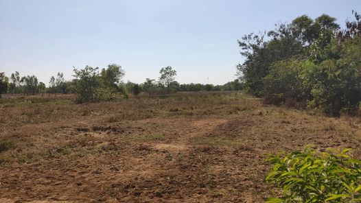 ขายที่ดิน โลตัสรังษิณา-ทางออกหนองคาย-บ้านดงลิง hldBZZgK