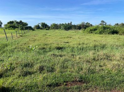 ขายที่ดิน นาดี นาเยีย T2f2sPbs