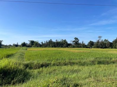 ขายที่ดิน นาดี นาเยีย axTjrGlS