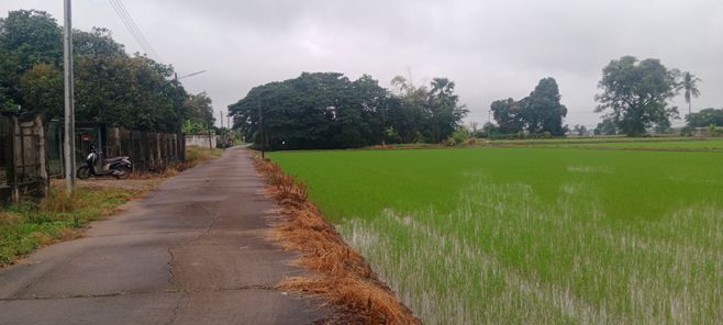 ขายที่ดิน สนามบินพิษณุโลก-บึงพระ 2zMbSPBT