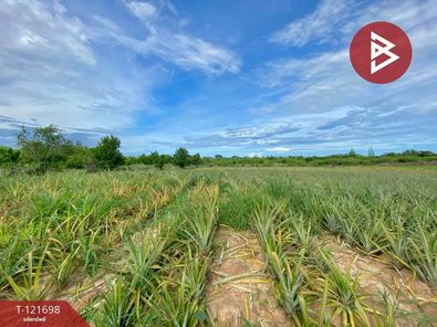 ขายที่ดินติดถนนเพชรเกษม เนื้อที่ 123 ไร่ 65.0 ตารางวาตำบลบ่อทอง เมืองประจวบคีรีขันธ์ กุยบุรี-อ.เมืองประจวบฯ WsldWTmC