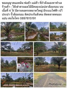 เช่าที่ดิน มรภ. บร. โรงพยาบาลบุรีรัมย์ สถานีรถไฟ QfG9m9AM