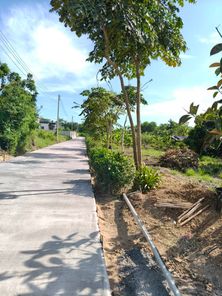 ขายที่ดิน วัดจุฬา-แยกต้นหว้า 33lbs38S