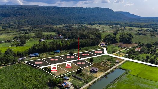 ที่ดินสวย วิวเขาวังทอง 200 ตร.วา  ราคาดีที่สุด 299,000 บาท  097 446 4446 ดินทอง วังทอง GEd5BsvO