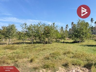 ขายที่ดิน เนื้อที่ 5 ไร่ ถนนเพชรเกษม อ.ทับสะแก ประจวบคีรีขันธ์ บางสะพาน-ทับสะแก XarLxCin