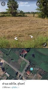 ขายที่ดินศักยภาพสูง 100 ตร.วา ทำเลชุมชน เมืองสุรินทร์ เหมาะสร้างบ้าน/ธุรกิจ ดูโฮม สลักได ศูนย์ราชการ rpKTKIlR