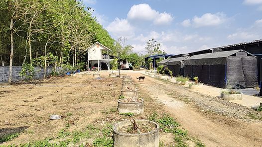 ขายที่ดินพร้อมสิ่งปลูกสร้าง และธุรกิจฟาร์มเห็ด สอนไห้ฟรีหลังจากมีการซื้อ มีตลาดแล้ว ปลวกแดง-CK-แม่น้ำคู้-อีสเทิร์นซีบอร์ด m4M0w31t