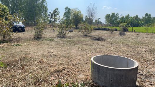 ขายที่ดิน เต็งหนาม QYUefdp8