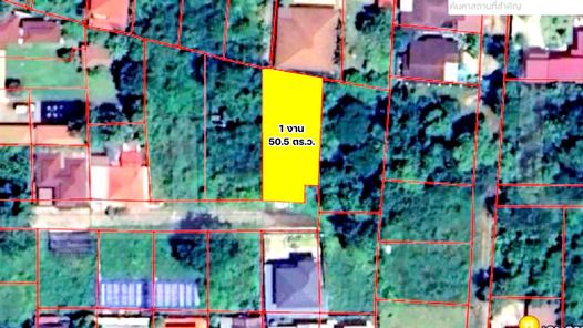 ขายที่ดินปลูกบ้าน 1 งาน 50.5 ตร.ว. ในหมู่บ้านรุ่งอรุณ เมืองเก่า ขอนแก่น ใกล้บึงแก่นนคร เพียง 6 นาที ถนนกลางเมือง - บึงแก่นนคร - โนนทัน dCFYUo0A