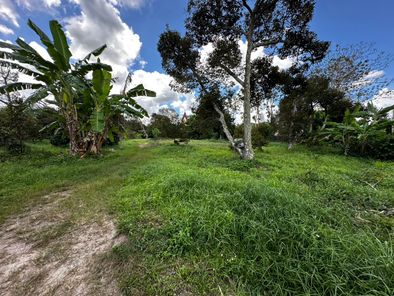 ขายที่ดินสูงกว่าถนนไม่ต้องถม 1-0-67 ไร่ บ้านแลง ระยอง ติดสถานปฏิบัติธรรมหลวงปู่ขี้เถ้า IRPC-ตะพง-พัน ร.7 lvy3kQtV