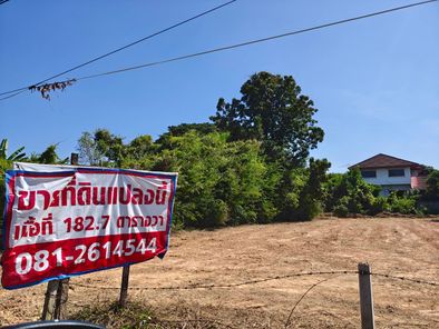 ขายที่ดิน เซ็นทรัลพลาซ่า-สี่แยกบ้านกร่าง 7iFh880x