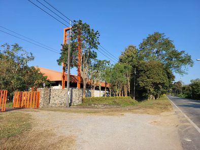 ขายและเช่าที่ดิน เชียงเคี่ยน เทิง HZNT2eyr