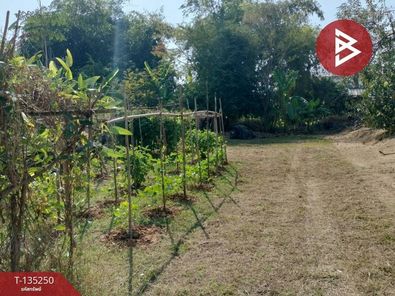 ขายที่ดิน เนื้อที่ 223.0 ตารางวา ตำบลในเมือง อำเภอเมืองพิษณุโลก ถนนคนเดิน-ปทุมทอง K4SqfOJB