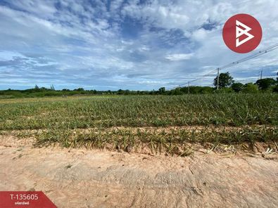 ขายที่ดิน เนื้อที่ 123 ไร่ 65.0 ตารางวา ตำบลบ่อนอก เมืองประจวบคีรีขันธ์ บ่อนอก เมืองประจวบคีรีขันธ์ u4DP78uB