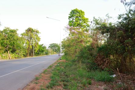 ขายที่ดิน โคกสูง อุบลรัตน์ GZ0hF7Zh