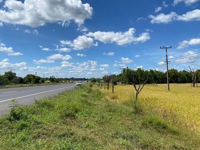 ขายที่ดิน 10ไร่ พุทไธสง บุรีรัมย์ ทำเลดีมีศักยภาพ ติดถนนพุทไธสง-พยัคฆภูมิพิสัย บ้านยาง พุทไธสง z5nEn0pX