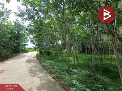 ขายที่ดิน เนื้อที่ 8 ไร่ ตำบลกระแสบน อำเภอแกลง ระยอง EECi วังจันทร์-เขาชะเมา 0WLfF8lh