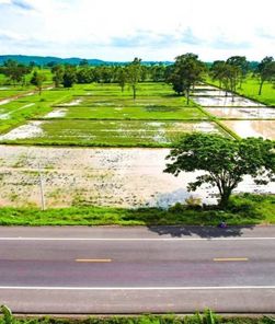 ขายที่ดิน จรเข้มาก ประโคนชัย 0i7wEKCp