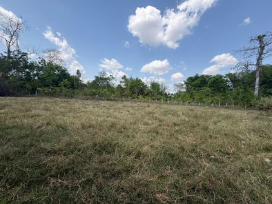 ขายที่ดินอำเภอนางรอง นางรอง pIzZbWaN