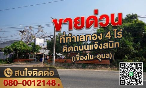 ขายที่ดิน หัวดอน เขื่องใน oCarbedf