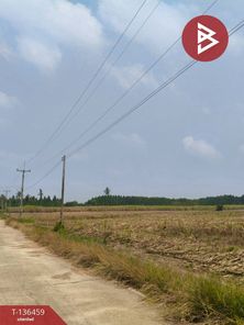 ขายที่ดิน เนื้อที่ 12 ไร่ 2 งาน 70.0 ตารางวา ตำบลธาตุทอง บ่อทอง ชลบุรี ธาตุทอง บ่อทอง yHQCnWxb