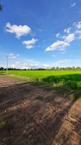 ขายที่ดิน บ้านยาง IMeMjSBw