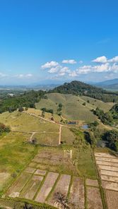 ขายที่ดิน ท่าข้าวเปลือก แม่จัน y9ZbOJg4