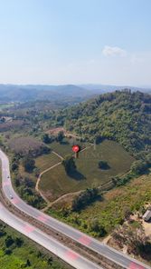 ขายที่ดิน ท่าข้าวเปลือก แม่จัน VDmcrvgV