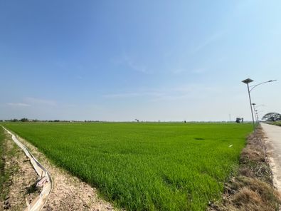 ขายที่ดินทำเลทอง ราคาพิเศษเจ้าของขายเอง!! สนามบินพิษณุโลก-บึงพระ BDR2Afjh