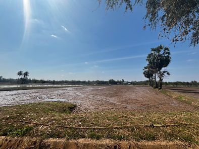 ขายที่นา 9 ไร่ ไม่ไกลจากตัวเมืองขอนแก่น โนนท่อน เมืองขอนแก่น Lr9oUR2Z