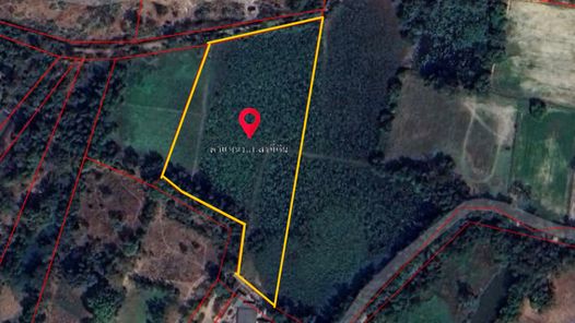 ขายที่ดิน แจ้งสนิท - ศาลากลาง - ท่าบ่อ wERT9DK1