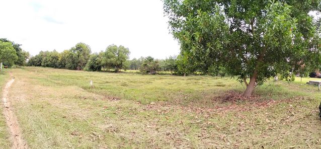 ขายที่ดิน ใกล้ ม.รามคำแหง  ใกล้ถนนเลี่ยงเมือง ทุ่งโพธิ์ YVOUmX8N