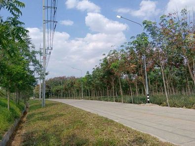 ขายที่ดินปลวกแดง ระยอง 31ไร่ สีเหลือง ติดนิคม WHA 4 เหมาะสร้าง โรงงาน โกดัง คลังสินค้า บ้านจัดสรร ปลวกแดง-CK-แม่น้ำคู้-อีสเทิร์นซีบอร์ด 9e2NfCeo