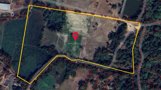 ขายที่ดิน แจ้งสนิท - ศาลากลาง - ท่าบ่อ xwSLcYPX