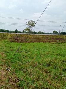 ขายที่ดิน หนองบัวบาน รัตนบุรี NGgq1NZf